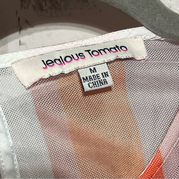 Jealous Tomato sheer bodysuit - Picture 2 of 4